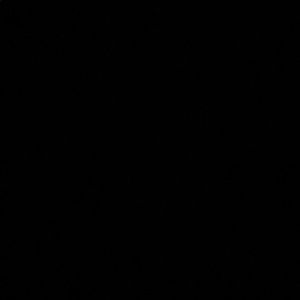 Meet your Posher, Lexie